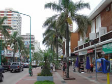 calle gorlero de punta del este