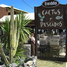 Cactus y Pescados