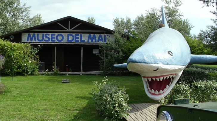 Museo del Mar - Ir con chicos a Punta del Este