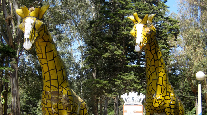 Parque El Jagüel - Actividades con chicos en Punta del Este