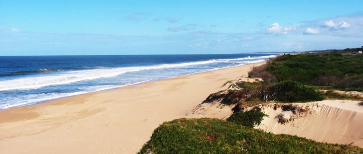 Playa Ocean Park - Punta del Este